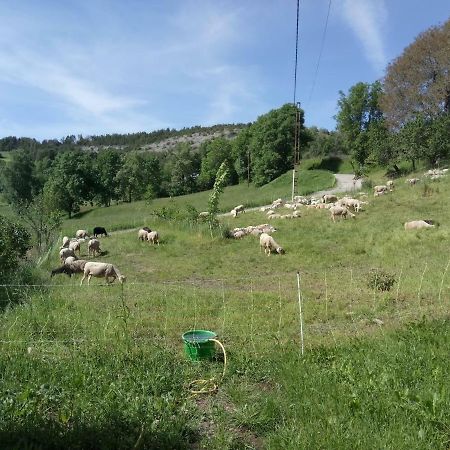 Appartamento Les Logis De Lucie Selonnet Esterno foto